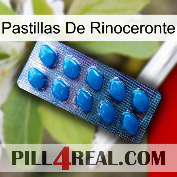 Rhino Pills viagra1.jpg